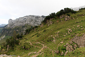 Wanderung Oberchäseren - Amden