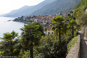 Aussicht über die Fächerpalmen auf Cannero Riviera