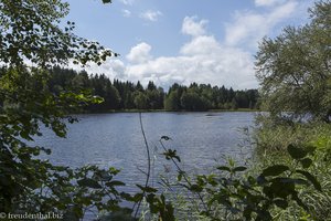 Blick auf den Luimooser Weiher auf der 5-Seen-Runde