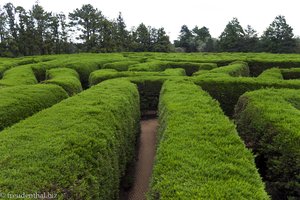 Das Labyrinth im Kimnyoung Maze Park