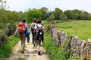 schön auf dem Pilgerweg nach Ferreira