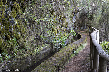 Die Levada schlängelt sich entlang der steilen Felswand.