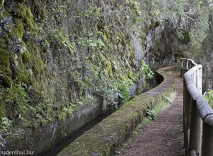 Tunnelwanderung auf La Palma