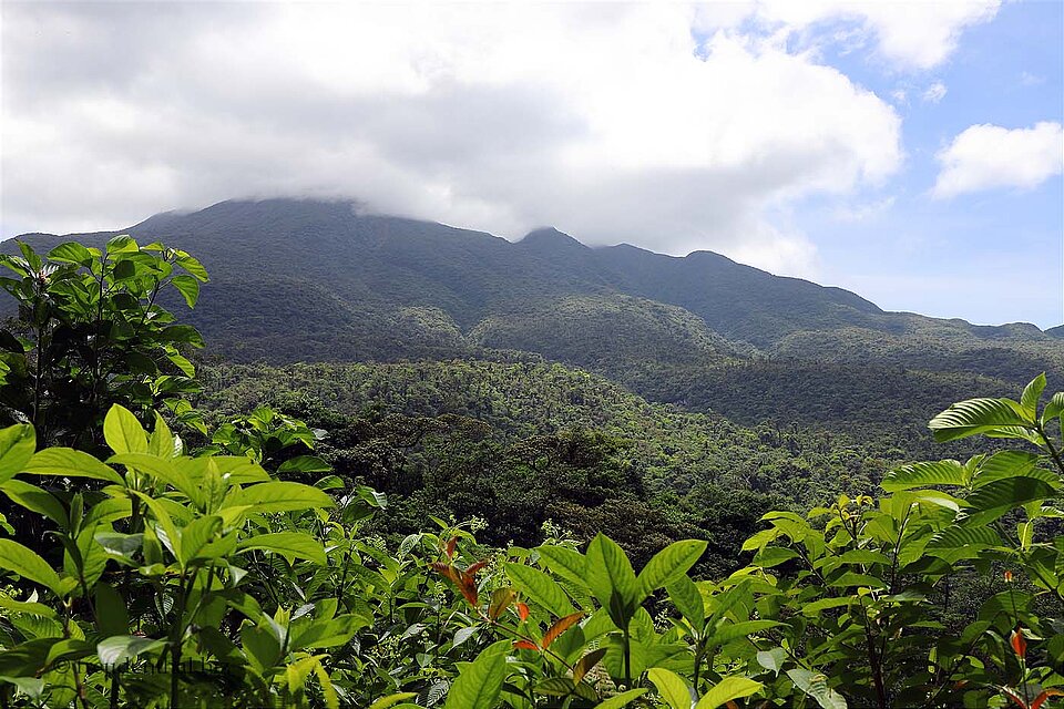 letzter Blick auf den Vulkan Tenorio in Costa Rica