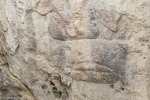 Muttersau mit ihren 13 Ferkeln - Hal Tarxien