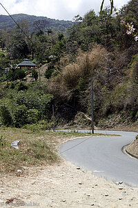 Küstenstraße in den Norden von Tobago