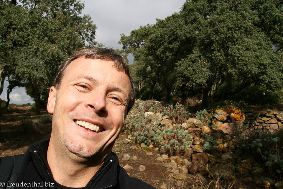 Lars auf der Giara di Gesturi, Sardinien