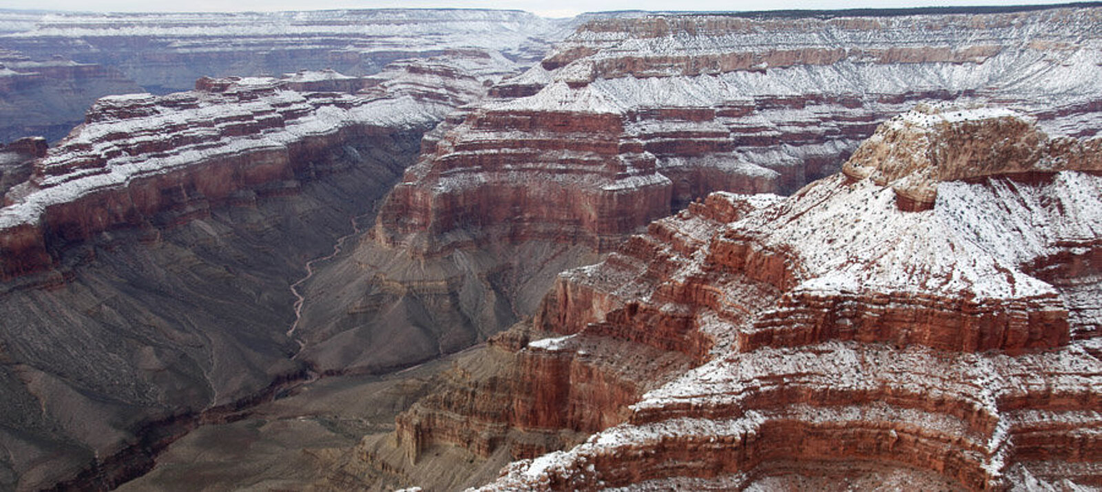 Spektakulärer Blick in den tiefen Canyon des Colorado Rivers