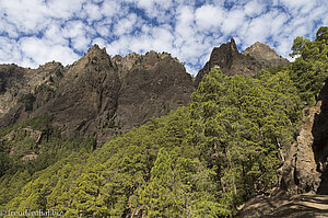 Caldera de Taburiente - Mirador del Lomo de Tagasaste