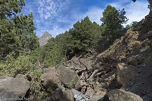 Von Naturgewalten zeugt der Barranco de las Bombas