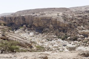 Blick in den Canyon des Wadi Ayun