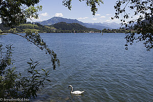 Bei der großen Runde um den Alpsee