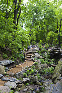 »The Ramble« - der naturbelassene Teil des Central Park