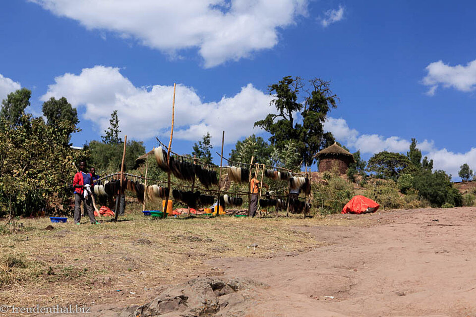 Pferdeschwänze zum Fliegen Verscheuchen in Lalibela
