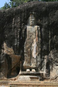 die mit 17 Meter höchste stehende Buddhafigur auf Sri Lanka