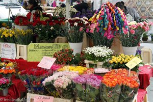 Tulpen in allen Farben auf dem Grünmarkt