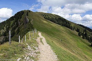 Bei der Brunnenauscharte nahe dem Hochgrat