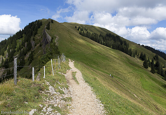 Wanderung auf den Hochgrat