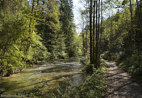 Die Obere Arge beim Riedholzer Eistobel