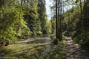 Wanderweg entlang der Obere Argen