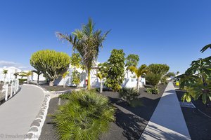 Im Garten des Labranda Alyssa Suite Hotel bei Playa Blanca