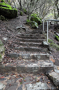 Treppenweg Kaledonia Trail