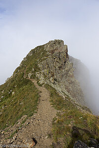 Eine Gratwanderung zur Hönigspitz