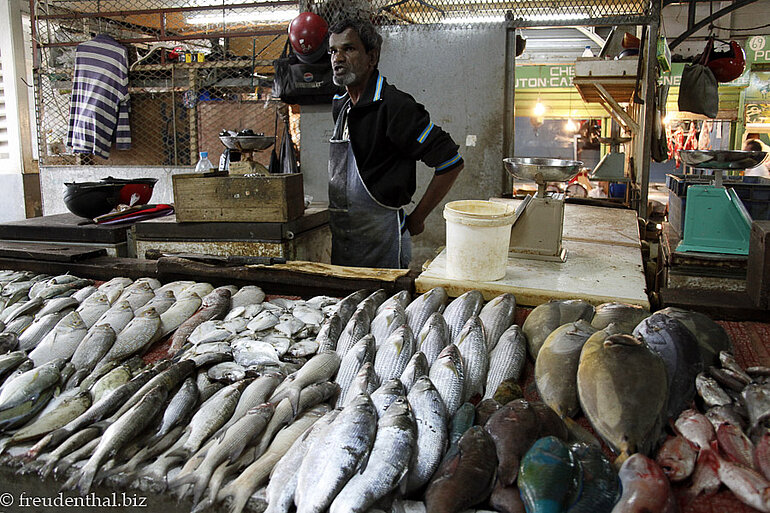 Fischverkäufer in Port Louis Fischverkäufer in Port Louis
