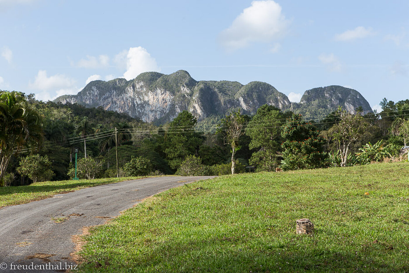 Sicht auf die Sierra de los Órganos (Orgelpfeifengebirge)