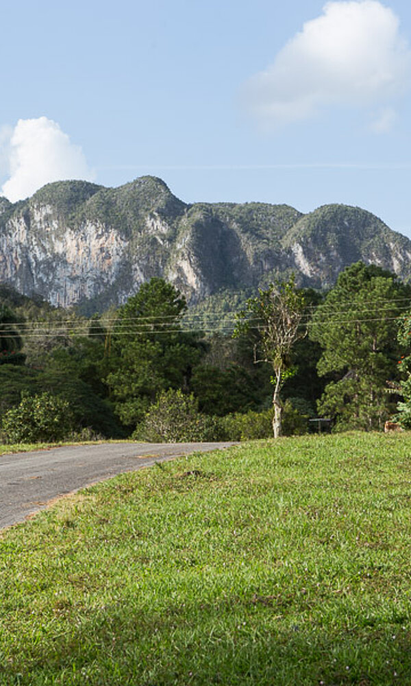 Sicht auf die Sierra de los Órganos (Orgelpfeifengebirge)