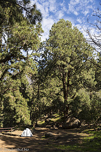 Campingplatz - Zona de acampada Taburiente