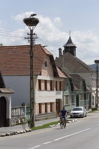 Strada IV in Grossau und die Storchennester