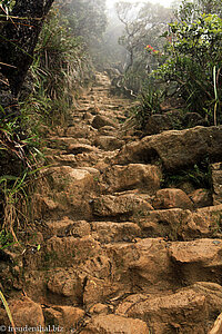 Wanderweg hoch zum Laban Rata Resthouse