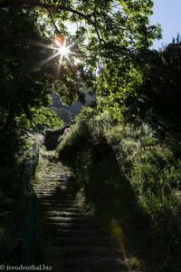 Wanderweg durch den Wald ins Nonnental von Madeira