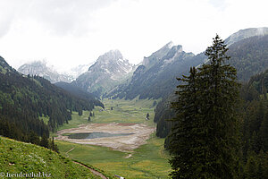 Blick auf den fast ausgetrockneten (versickerten) Sämtisersee