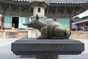 Ein Erdferkel bei der Geugnakjeon Halle