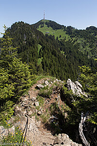 Ausblick vom Burgberger Hörnle zum Grünten