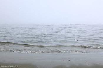 Nebel am Combers Beach