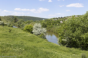 Blick auf die Raut und Trebujeni bei Orheiul Vechi in Moldawien