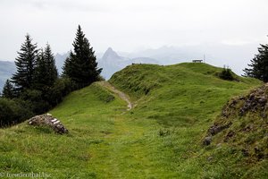 Wanderung von Scheidegg nach Gätterli