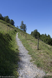 Wanderweg der Großen Alpseerunde