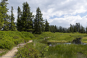 Riedberger Horn