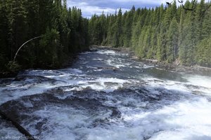 Dawson Falls des Murtle Rivers