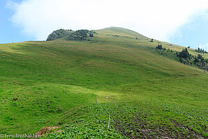 Westflanke des Niederbauen-Chulm