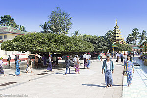 Gartenanlage in der Shwemawdaw Pagode in Bago