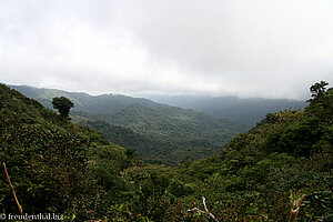 Blick in Richtung Pazifik