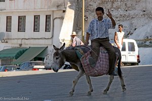 Hallo! Arbeiter auf Esel in Moulay Idris