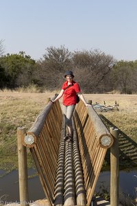 wacklige Brücken zu den Vogelbeobachtungsstationen
