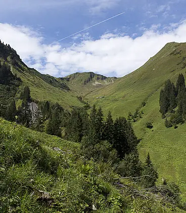 Wanderung über die Spitalalpe zur Derrenalpe