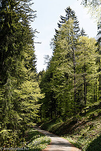 Wanderweg vom Ofenloch zur Schwägalp